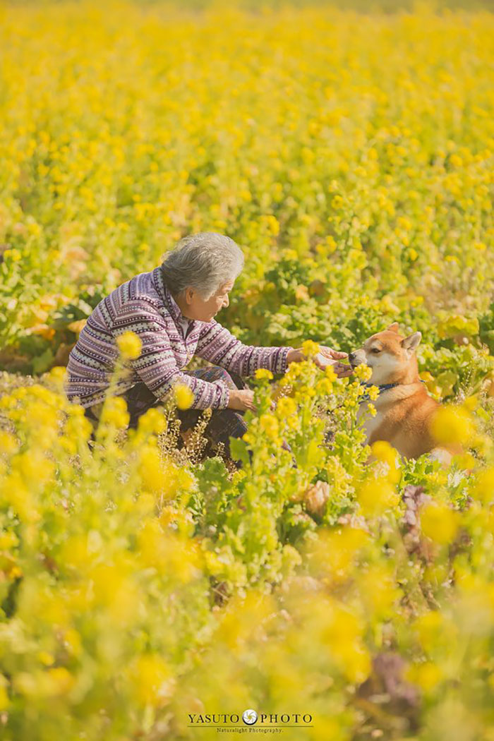 Cette grand-mère et son shiba ont été capturés par son petit-fils en 22 clichés attendrissants