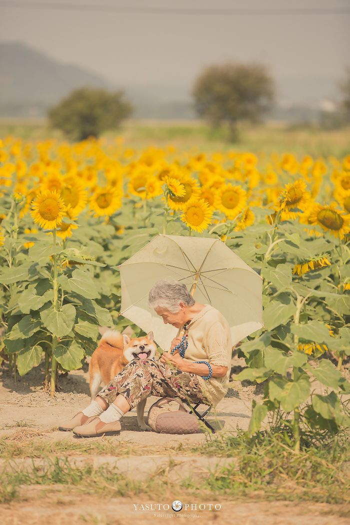 Cette grand-mère et son shiba ont été capturés par son petit-fils en 22 clichés attendrissants