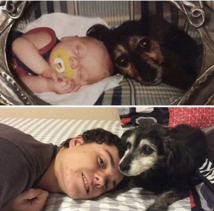 22 images de chiens sympas qui vont rendre votre journée plus agréable (nouvelles images)