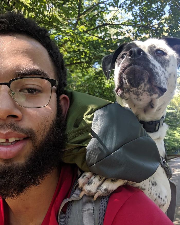 22 images de chiens sympas qui vont rendre votre journée plus agréable (nouvelles images)