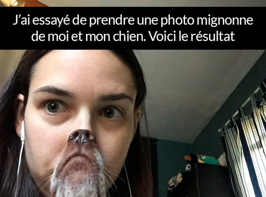 22 photos de chiens avec des commentaires hilarants (nouvelles images)