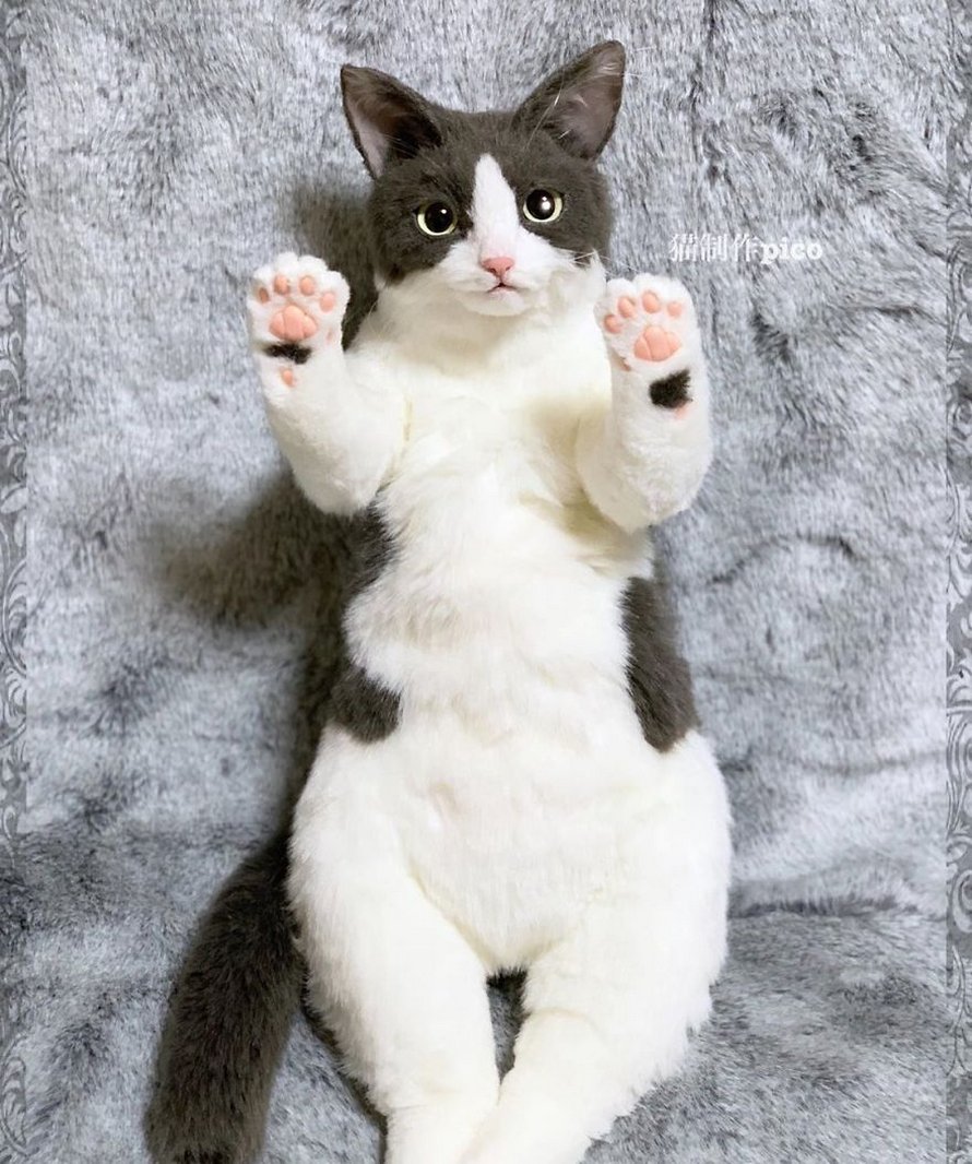 Les Sacs En Forme De Chats Sont La Nouvelle Mode Au Japon 25 Images Ipnoze