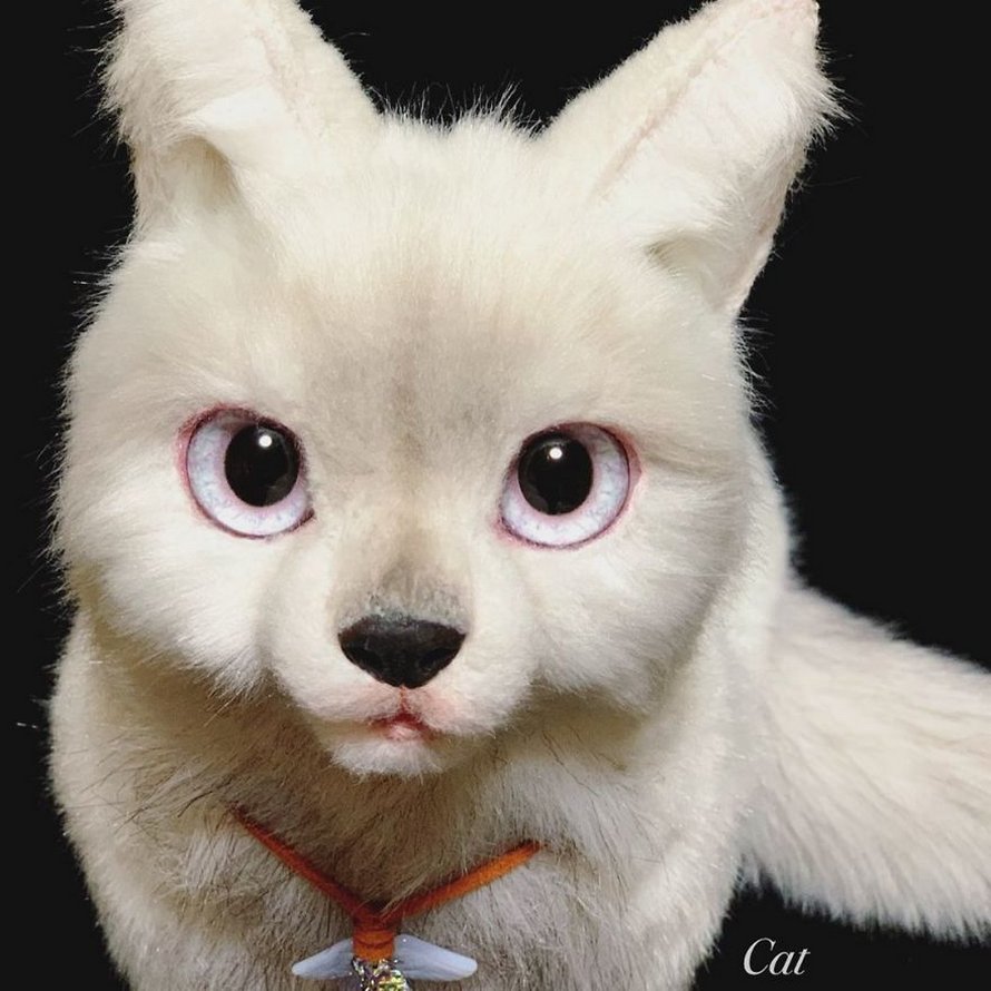 Les Sacs En Forme De Chats Sont La Nouvelle Mode Au Japon 25 Images Ipnoze