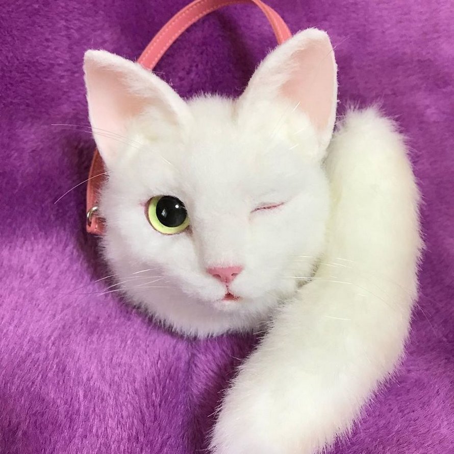 Les Sacs En Forme De Chats Sont La Nouvelle Mode Au Japon 25 Images Ipnoze