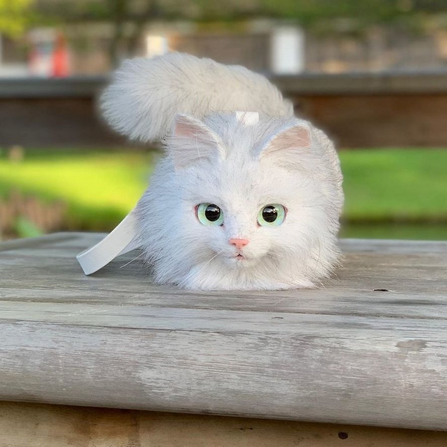 Les Sacs En Forme De Chats Sont La Nouvelle Mode Au Japon 25 Images Ipnoze