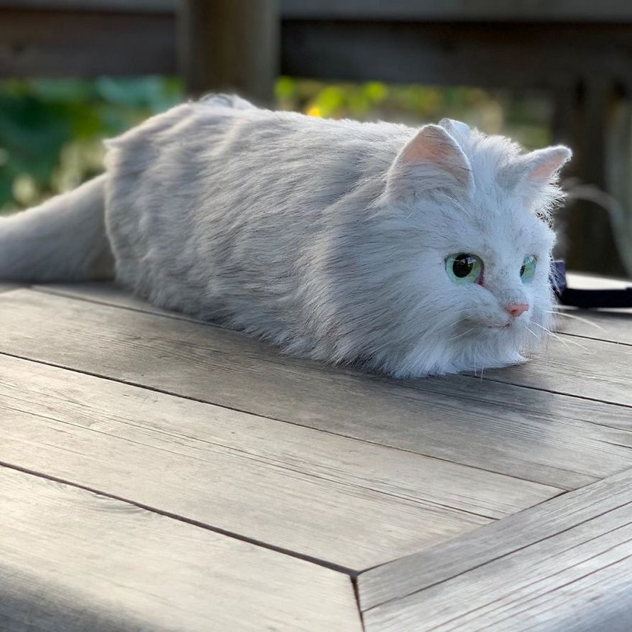 Les Sacs En Forme De Chats Sont La Nouvelle Mode Au Japon 25 Images Ipnoze Les Sacs En Forme De Chats Sont La Nouvelle Mode Au Japon 25 Images Ipnoze