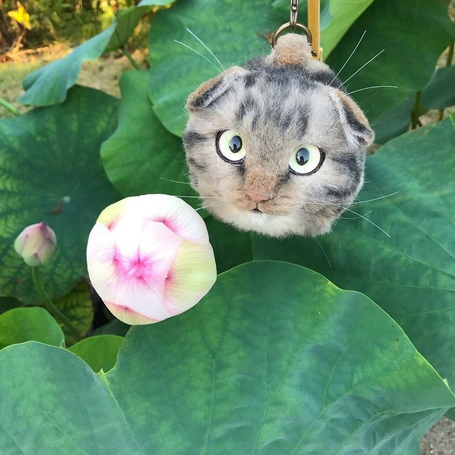 Les Sacs En Forme De Chats Sont La Nouvelle Mode Au Japon 25 Images Ipnoze Les Sacs En Forme De Chats Sont La Nouvelle Mode Au Japon 25 Images Ipnoze