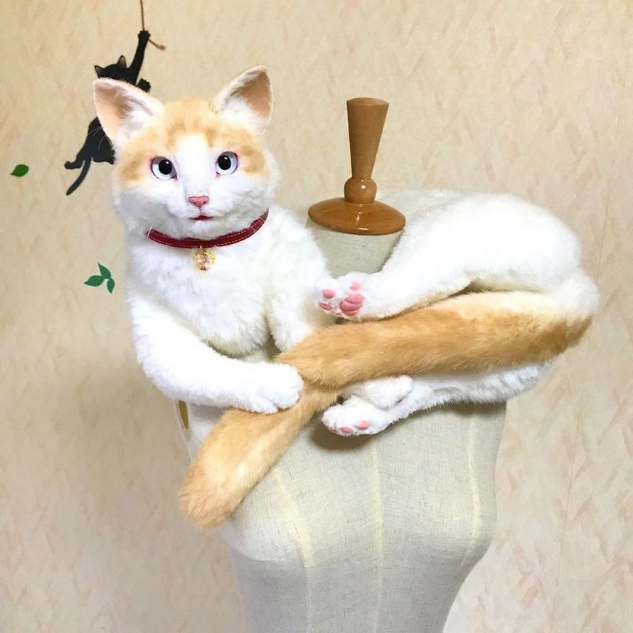 Les Sacs En Forme De Chats Sont La Nouvelle Mode Au Japon 25 Images Ipnoze Les Sacs En Forme De Chats Sont La Nouvelle Mode Au Japon 25 Images Ipnoze