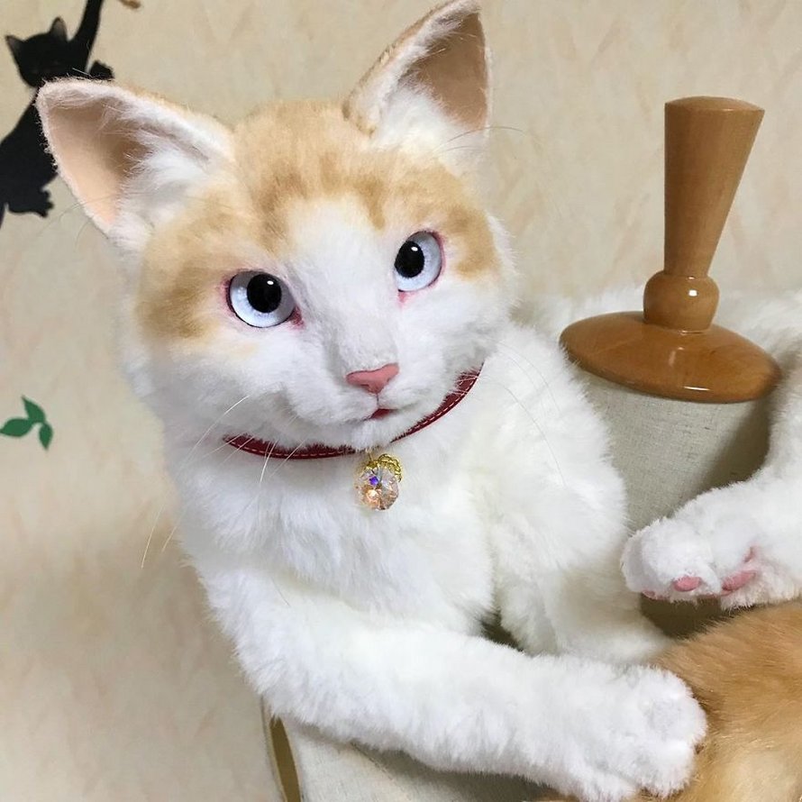 Les Sacs En Forme De Chats Sont La Nouvelle Mode Au Japon 25 Images Ipnoze Les Sacs En Forme De Chats Sont La Nouvelle Mode Au Japon 25 Images Ipnoze