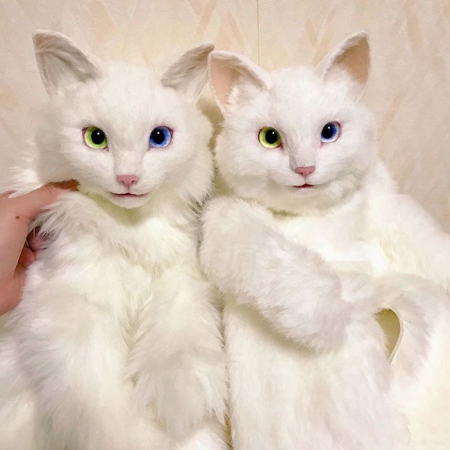 Les Sacs En Forme De Chats Sont La Nouvelle Mode Au Japon 25 Images Ipnoze Les Sacs En Forme De Chats Sont La Nouvelle Mode Au Japon 25 Images Ipnoze