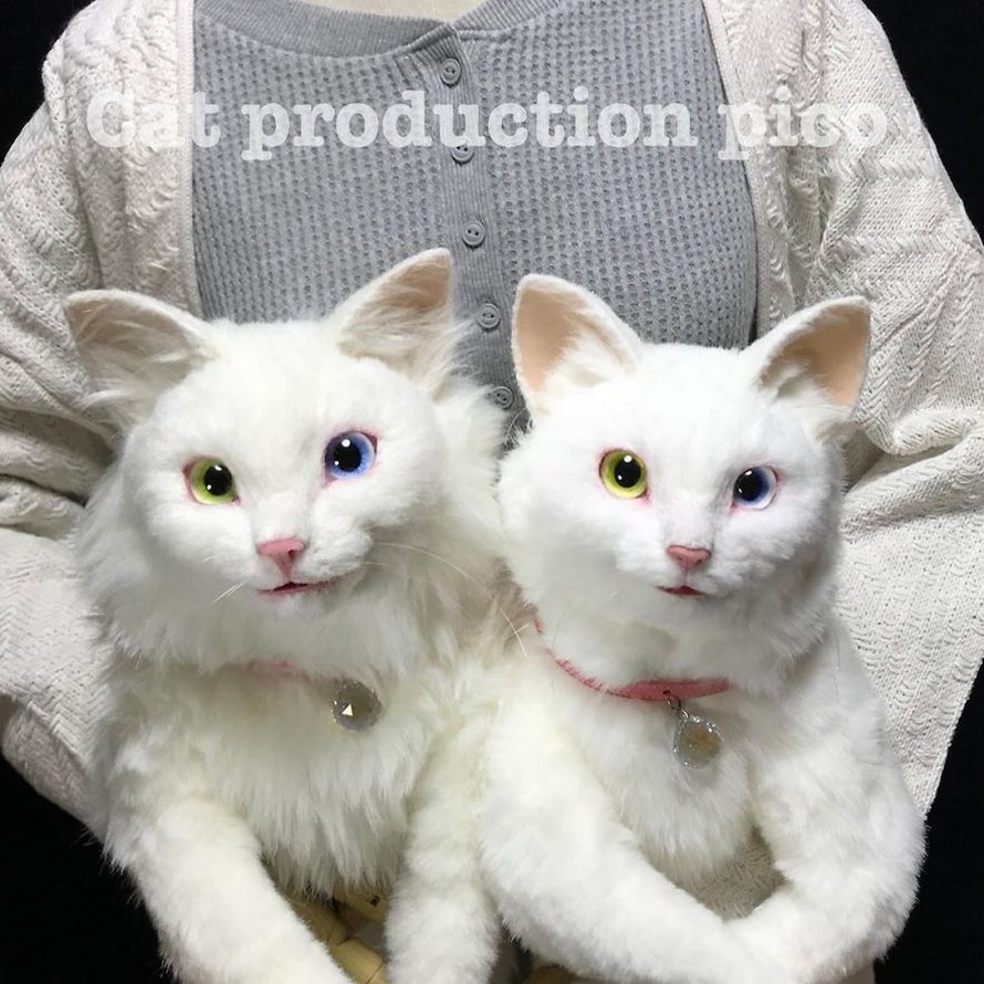 Les Sacs En Forme De Chats Sont La Nouvelle Mode Au Japon 25 Images Ipnoze Les Sacs En Forme De Chats Sont La Nouvelle Mode Au Japon 25 Images Ipnoze