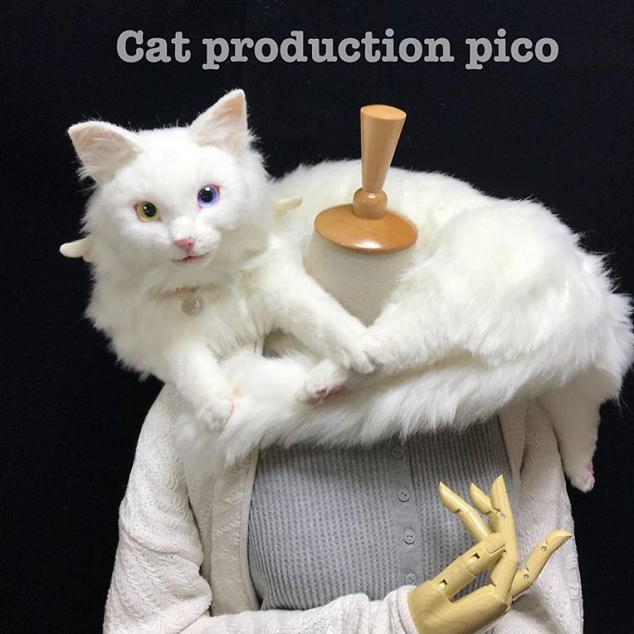 Les Sacs En Forme De Chats Sont La Nouvelle Mode Au Japon 25 Images Ipnoze Les Sacs En Forme De Chats Sont La Nouvelle Mode Au Japon 25 Images Ipnoze