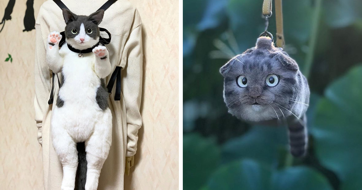 Les Sacs En Forme De Chats Sont La Nouvelle Mode Au Japon 25 Images Ipnoze