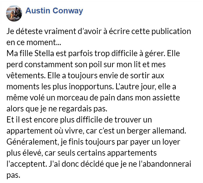 Avant d’obtenir un chien, assurez-vous de lire le message honnête de cet homme sur les difficultés d’en avoir un