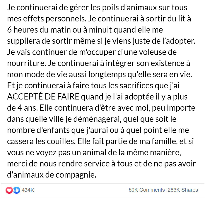 Avant d’obtenir un chien, assurez-vous de lire le message honnête de cet homme sur les difficultés d’en avoir un