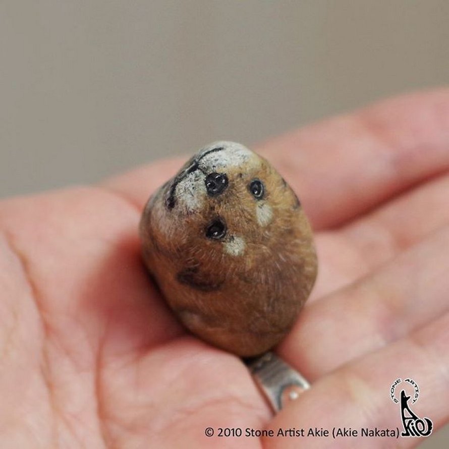 Une artiste japonaise donne vie aux pierres en les transformant en animaux qui tiennent dans la paume de votre main