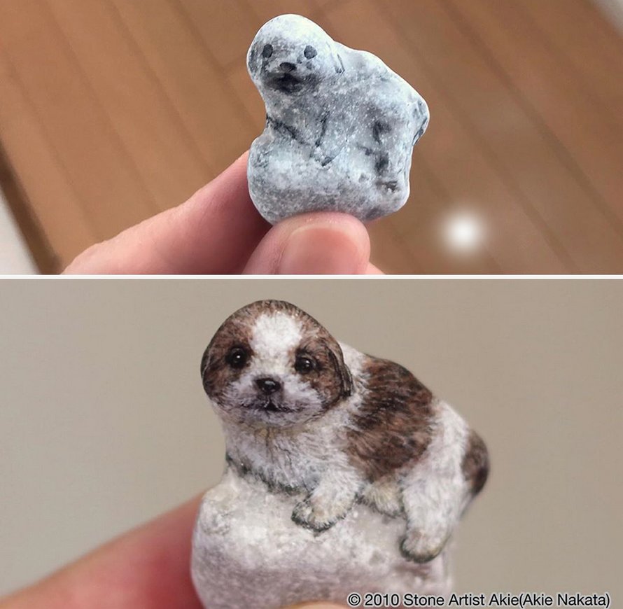Une artiste japonaise donne vie aux pierres en les transformant en animaux qui tiennent dans la paume de votre main