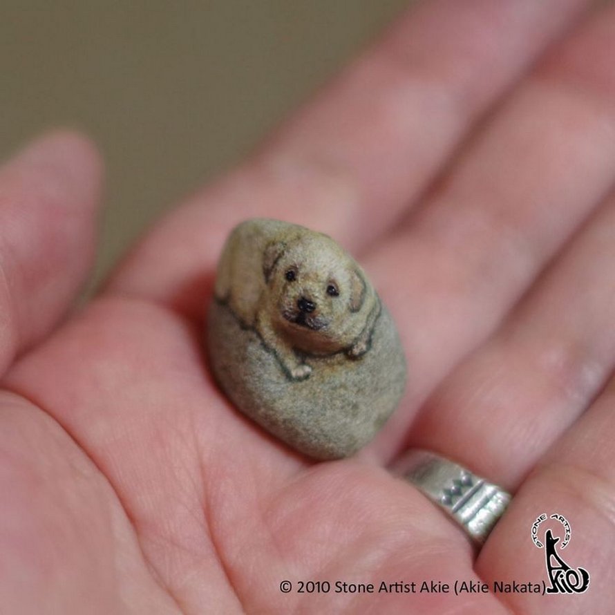 Une artiste japonaise donne vie aux pierres en les transformant en animaux qui tiennent dans la paume de votre main