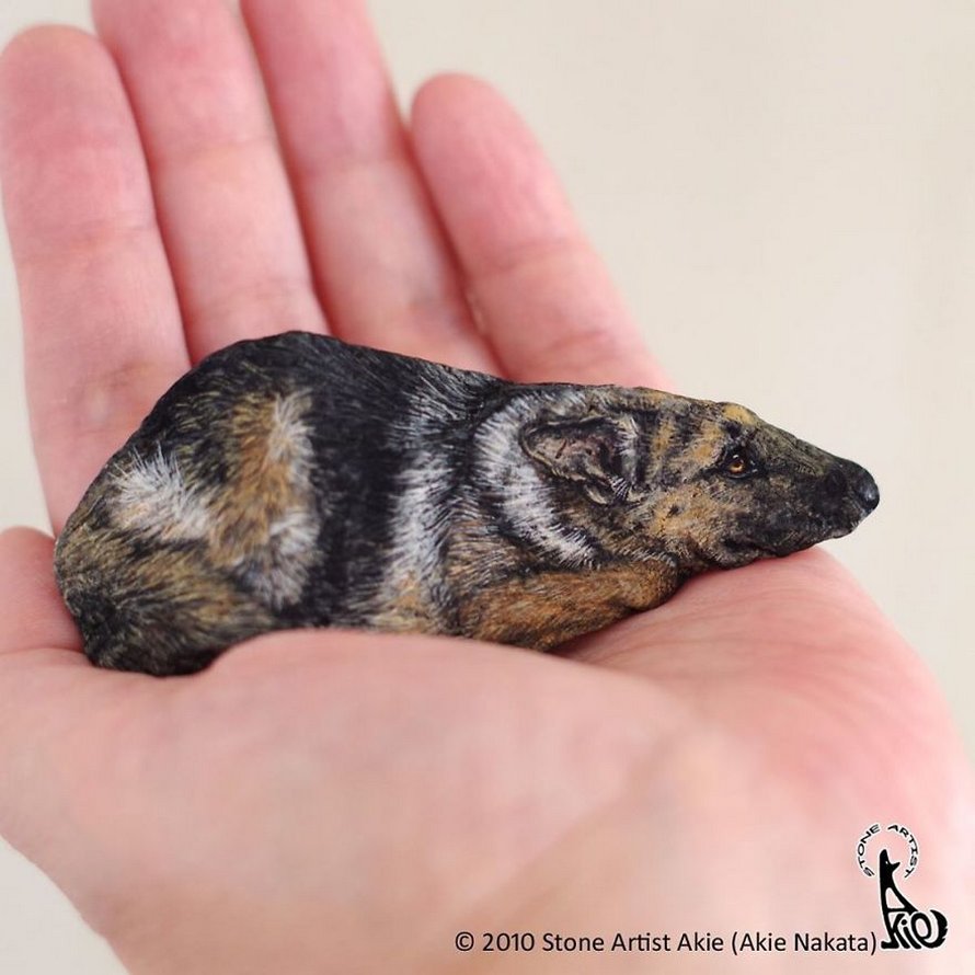 Une artiste japonaise donne vie aux pierres en les transformant en animaux qui tiennent dans la paume de votre main