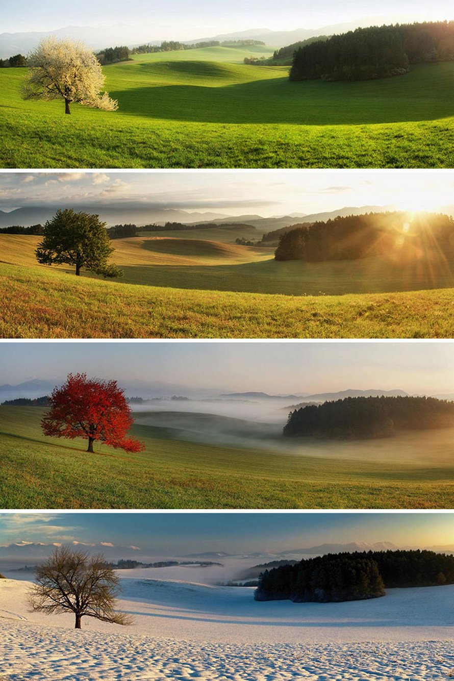 23 images de comparaison les plus intrigantes (nouvelles images)
