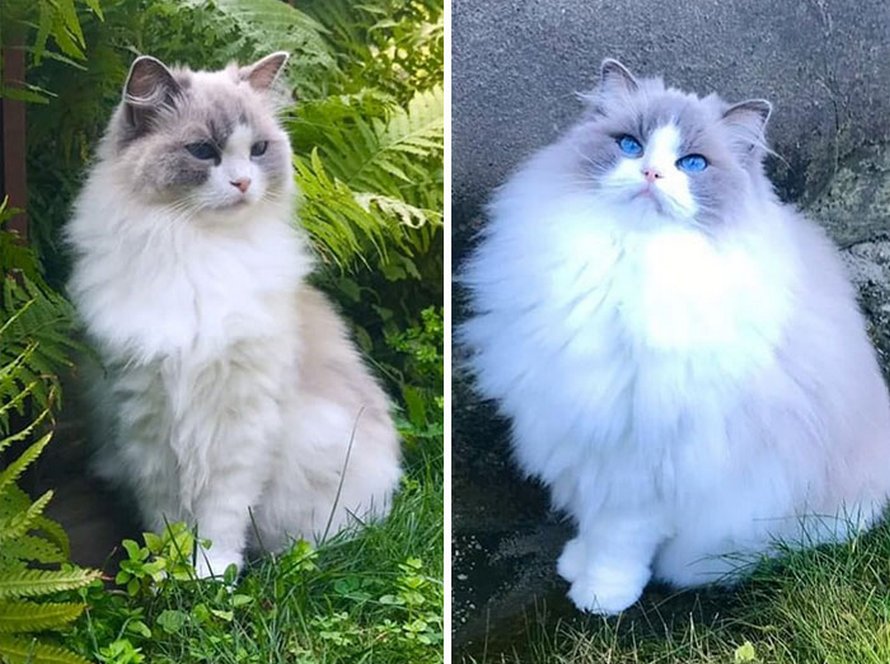 23 images de comparaison les plus intrigantes (nouvelles images)