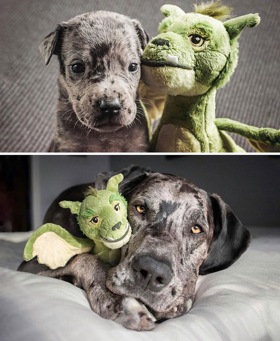 23 images de comparaison les plus intrigantes (nouvelles images)