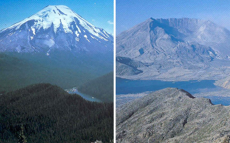 23 images de comparaison les plus intrigantes (nouvelles images)