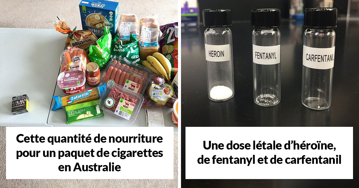 23 images de comparaison les plus intrigantes (nouvelles images)