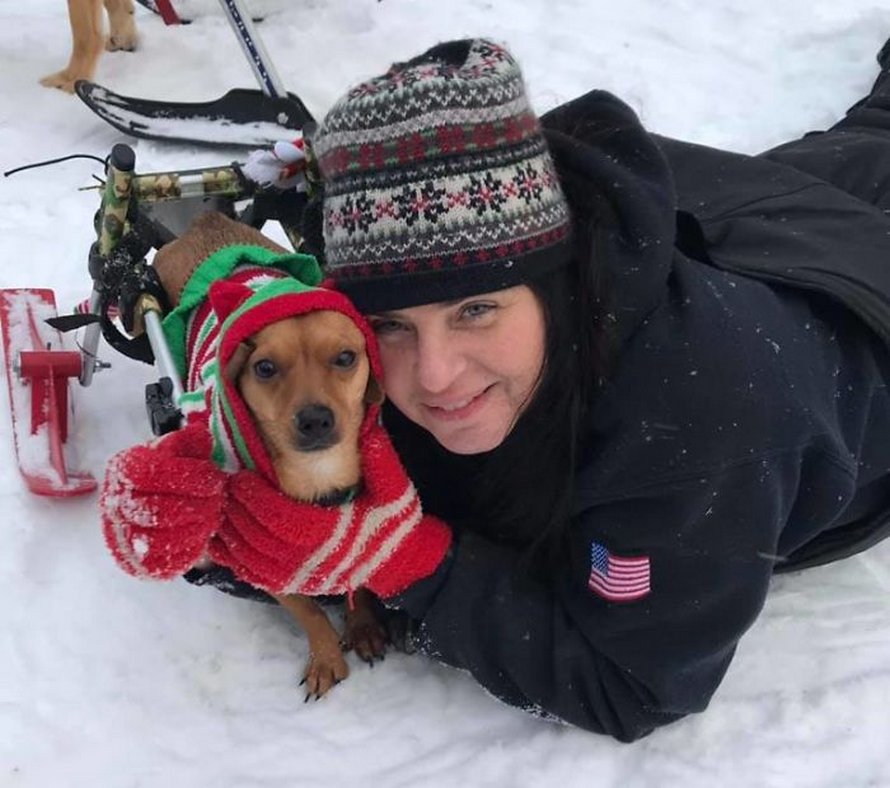 Cette femme a adopté 6 chiens ayant des besoins particuliers et maintenant, ils vivent tous une vie heureuse