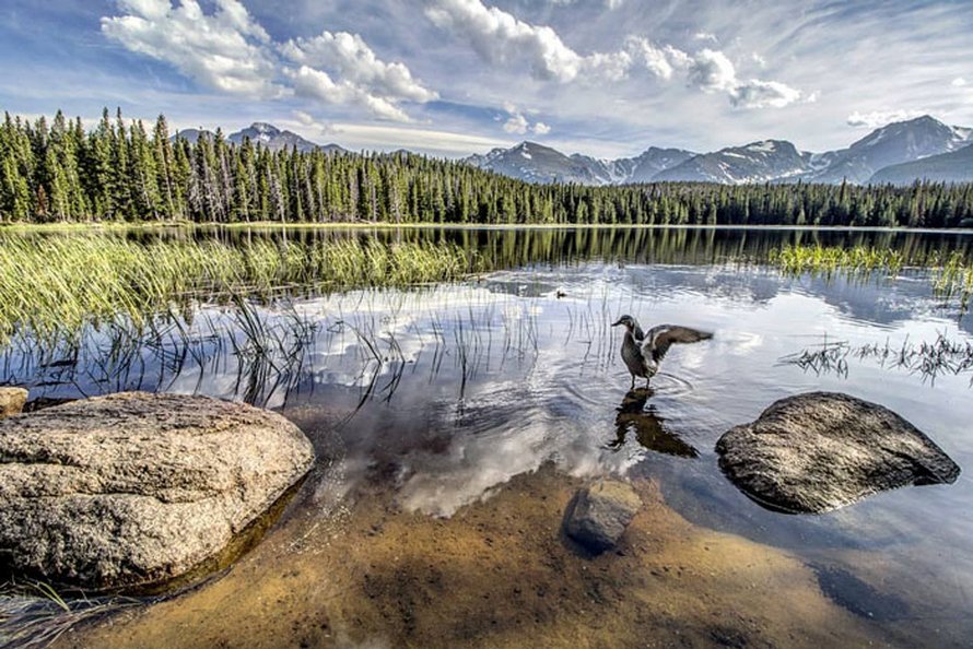 Ce photographe a immortalisé la beauté unique de vagues glacées au lac Dream, dans le Colorado