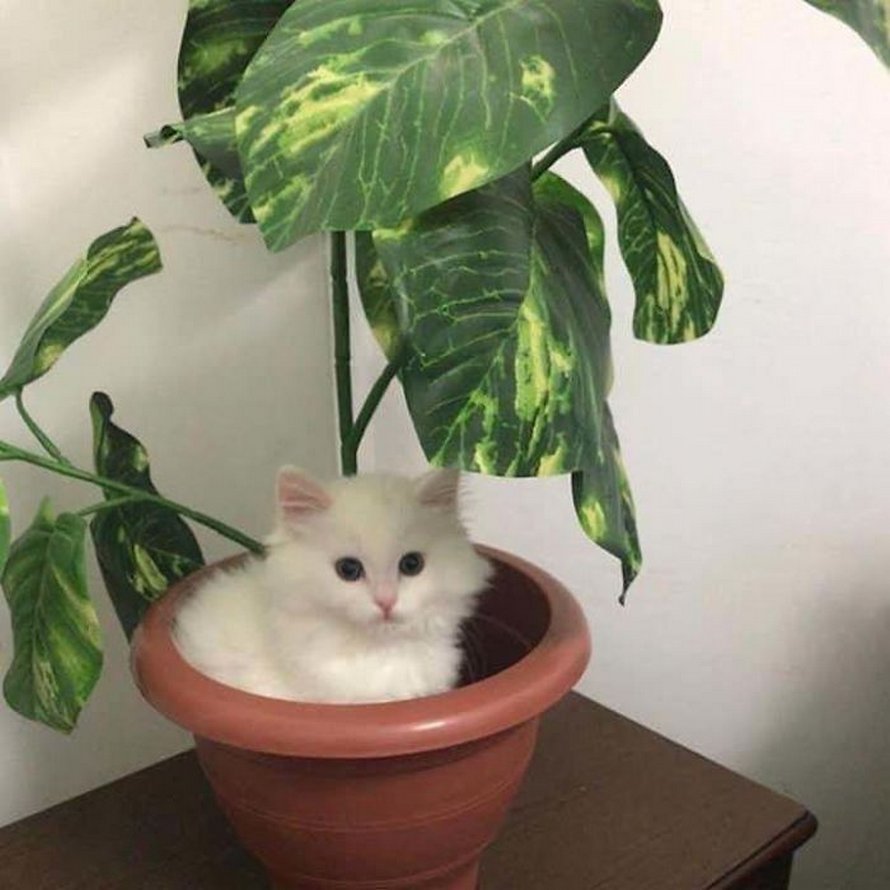 Voici les photos d’animaux secourus les plus sympas de ce mois-ci (édition de mars)