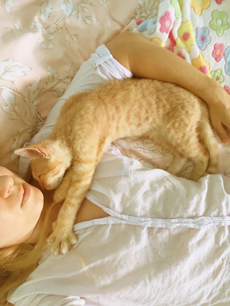 Voici les photos d’animaux secourus les plus sympas de ce mois-ci (édition de mars)