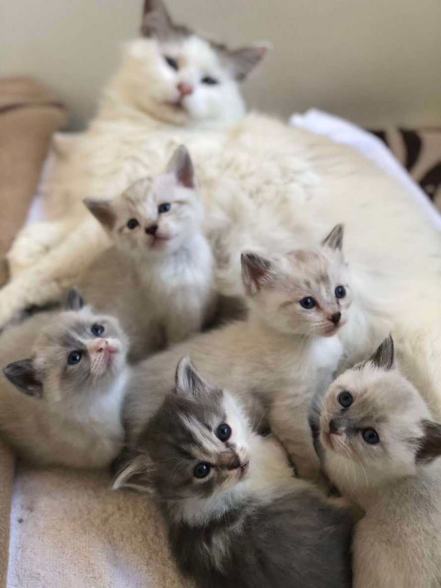 Voici les photos d’animaux secourus les plus sympas de ce mois-ci (édition de mars)
