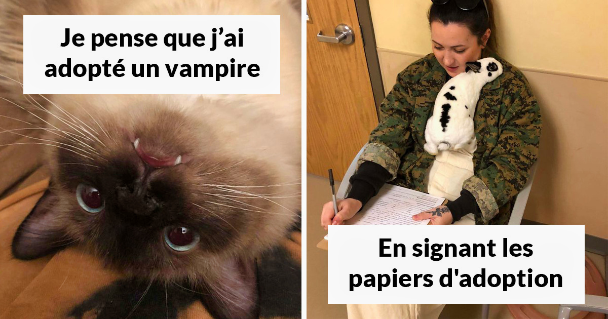 Avoir Images 0puskuhsco22gm actualisé par