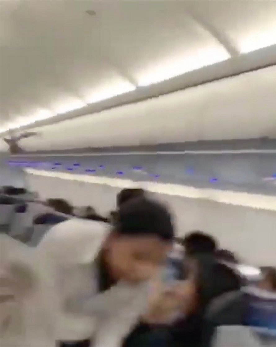Un pigeon clandestin a semé la panique après être resté coincé dans un avion