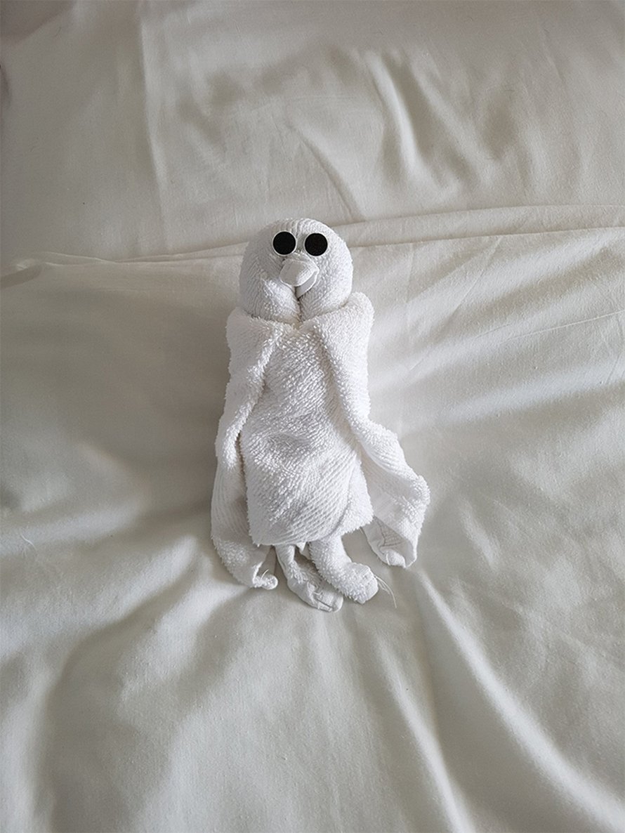Des gens partagent les meilleurs pliages de serviettes qu’ils ont vus dans les hôtels (22 images)