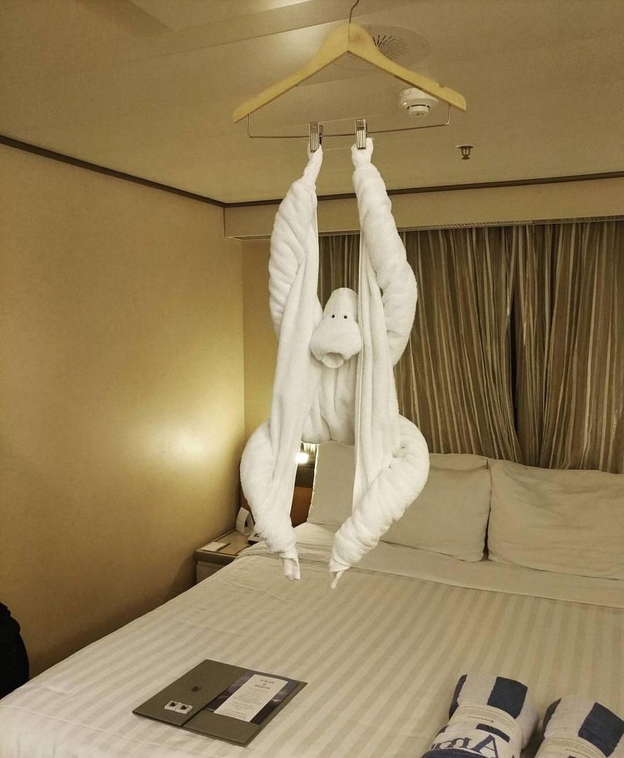 Des gens partagent les meilleurs pliages de serviettes qu’ils ont vus dans les hôtels (22 images)
