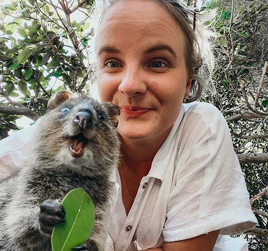 Les quokkas sont si mignons que les gens ne croient pas qu’ils sont réels