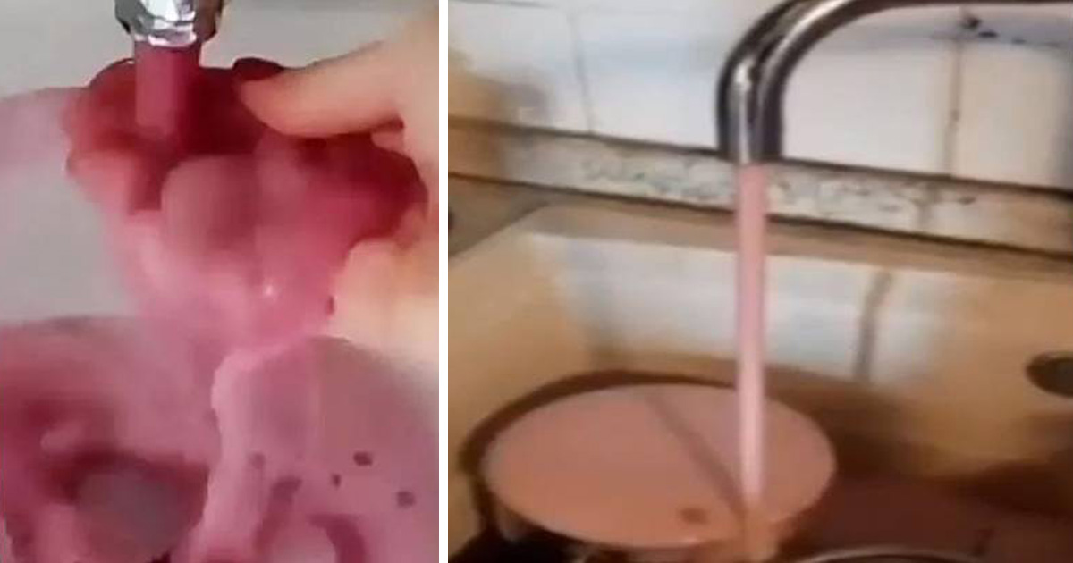 Les robinets d’eau se sont mis à verser du vin dans un village italien après l’erreur d’un vignoble local
