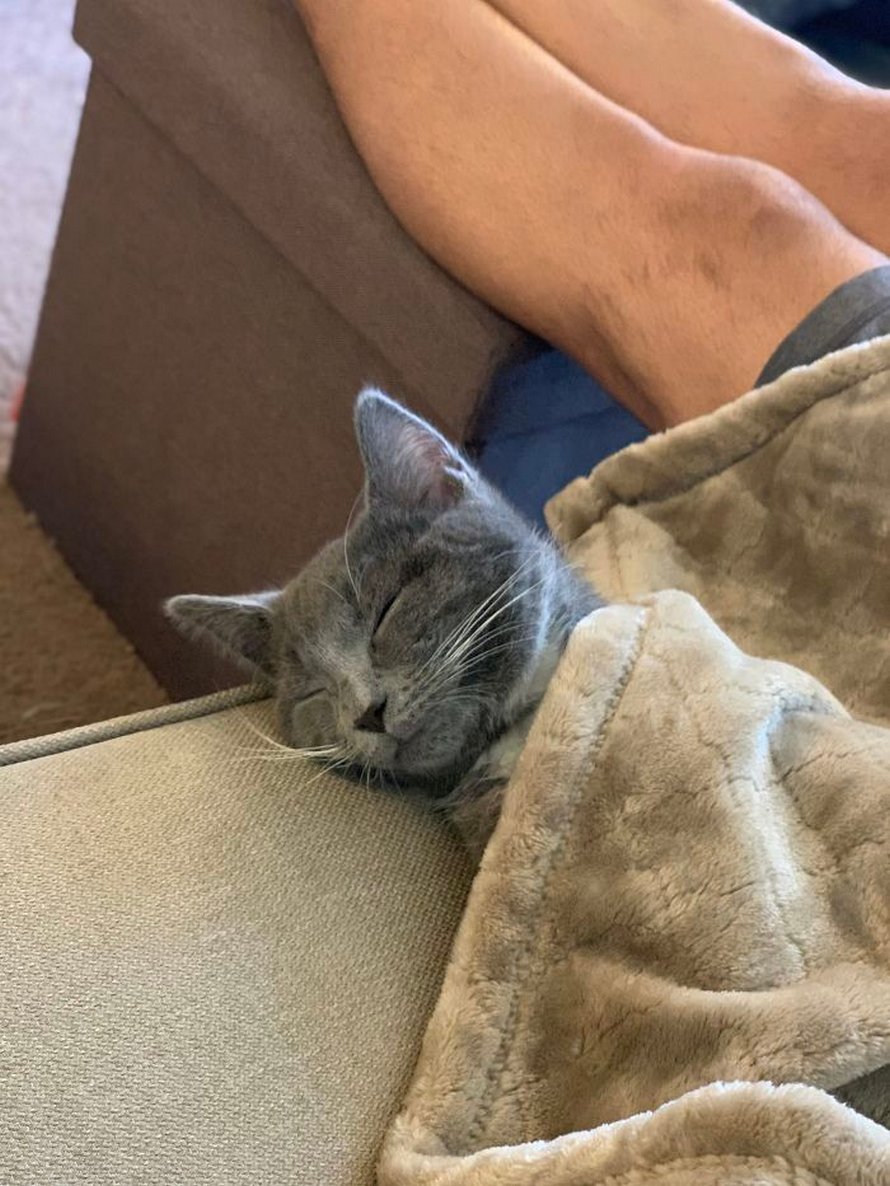 Voici les photos d’animaux secourus les plus sympas du mois (édition d’avril)