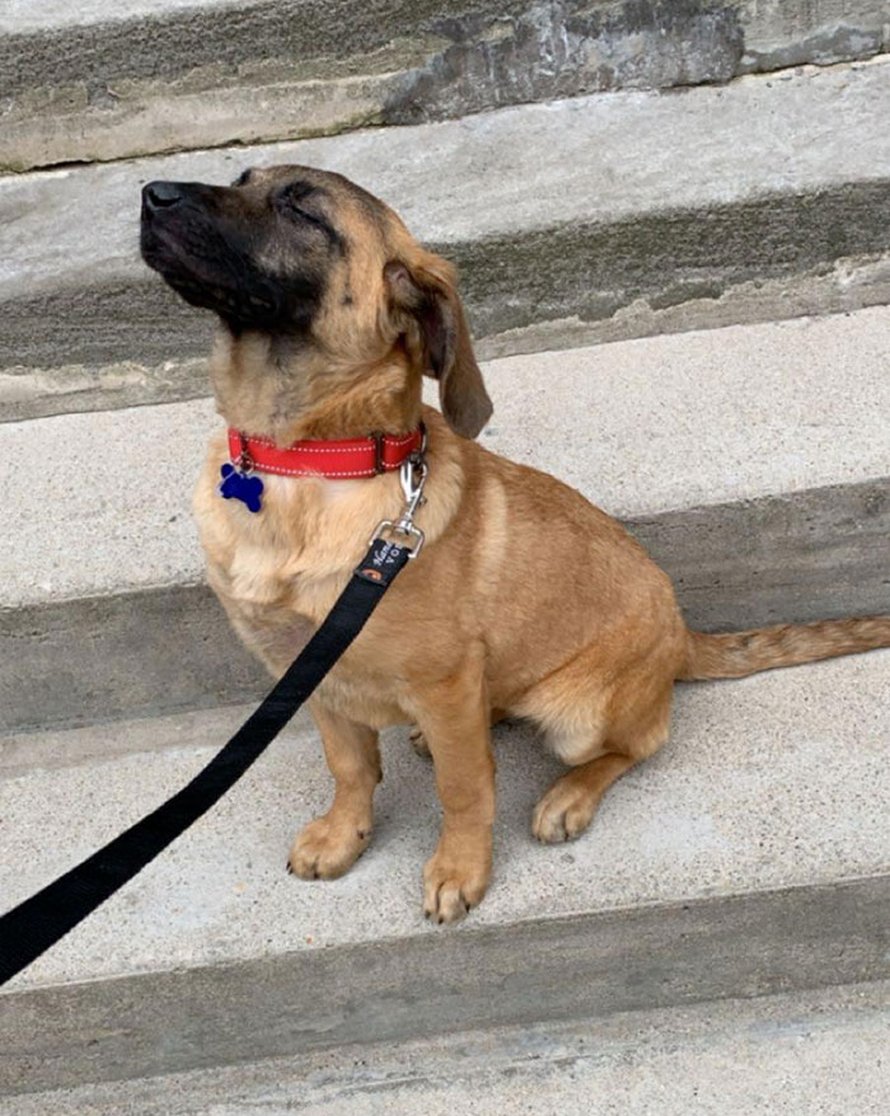 Voici les photos d’animaux secourus les plus sympas du mois (édition d’avril)