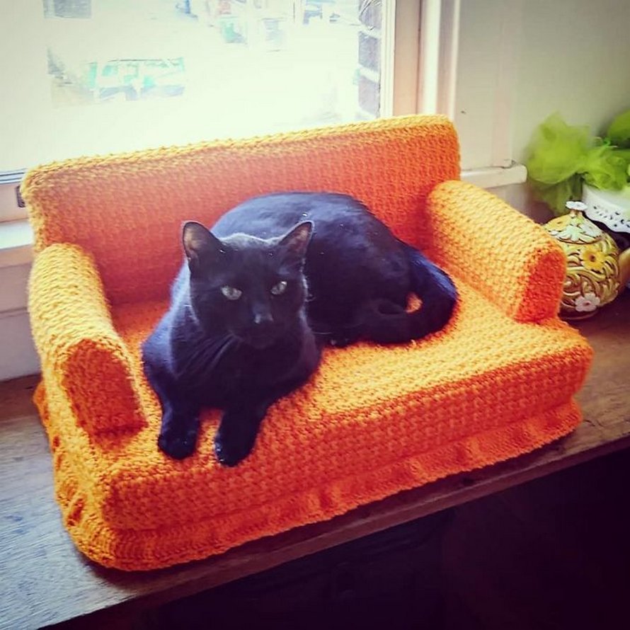 Les Gens Utilisent Leur Temps Libre Pour Crocheter De Petits Canapes Pour Leurs Chats Et Voici Les 16 Plus Beaux Ipnoze Les Gens Utilisent Leur Temps Libre Pour Crocheter De Petits Canapes Pour Leurs Chats Et Voici Les 16 Plus Beaux Ipnoze