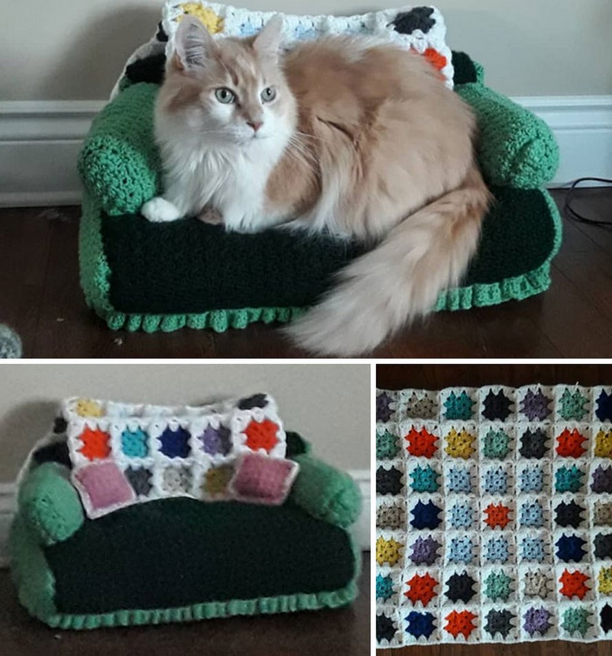 Les Gens Utilisent Leur Temps Libre Pour Crocheter De Petits Canapes Pour Leurs Chats Et Voici Les 16 Plus Beaux Ipnoze Les Gens Utilisent Leur Temps Libre Pour Crocheter De Petits Canapes Pour Leurs Chats Et Voici Les 16 Plus Beaux Ipnoze