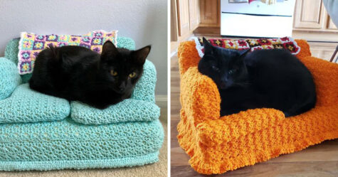 Les gens utilisent leur temps libre pour crocheter de petits canapés pour leurs chats et voici les 16 plus beaux