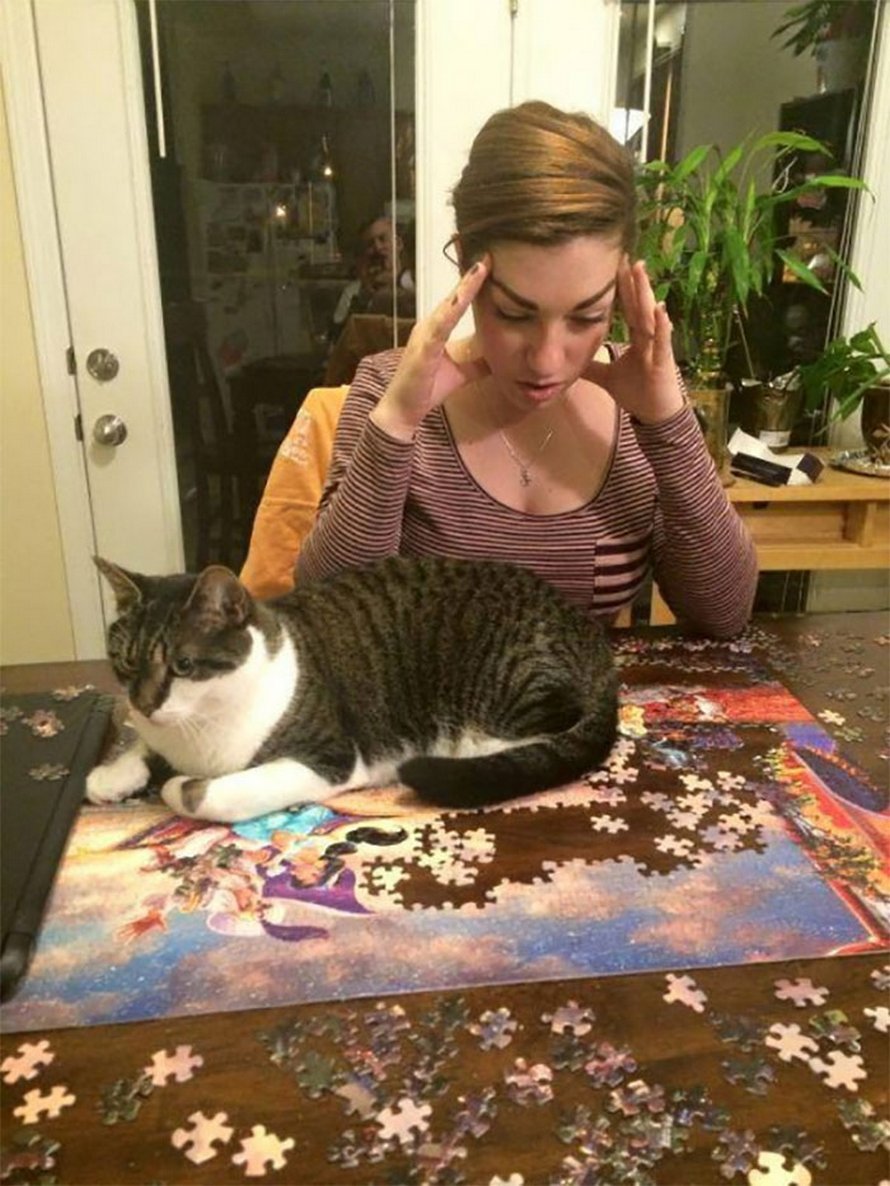 Ces photos montrent ce qui arrive quand tu essaies de compléter un puzzle avec ton chat
