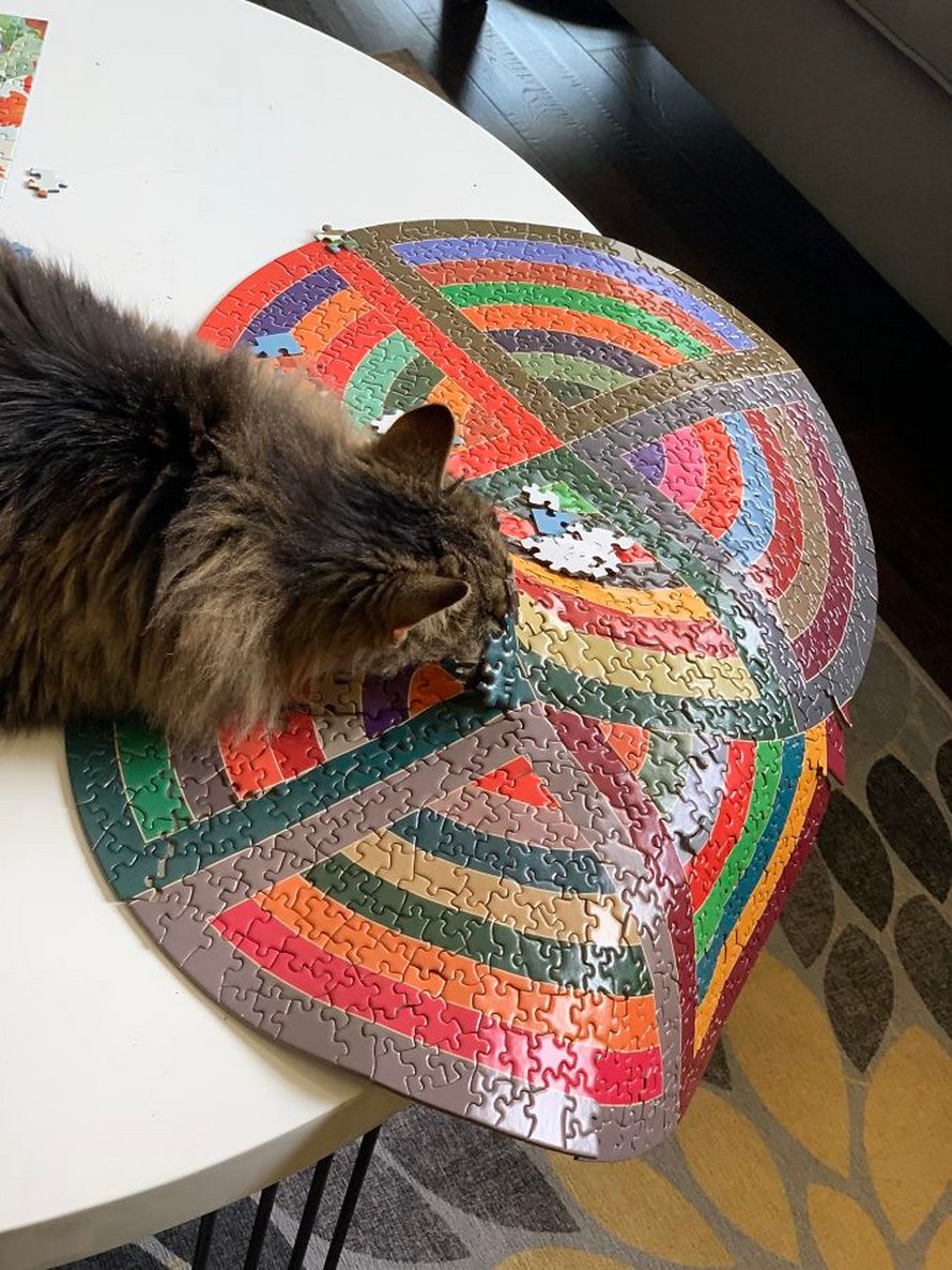 Ces photos montrent ce qui arrive quand tu essaies de compléter un puzzle avec ton chat