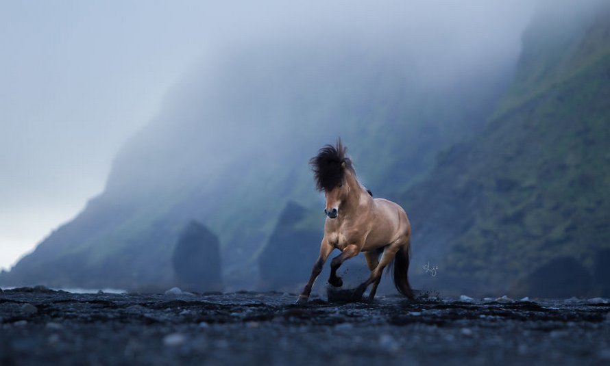 Cette photographe capture des chevaux dans des paysages d’Islande à couper le souffle et voici ses 30 plus beaux clichés