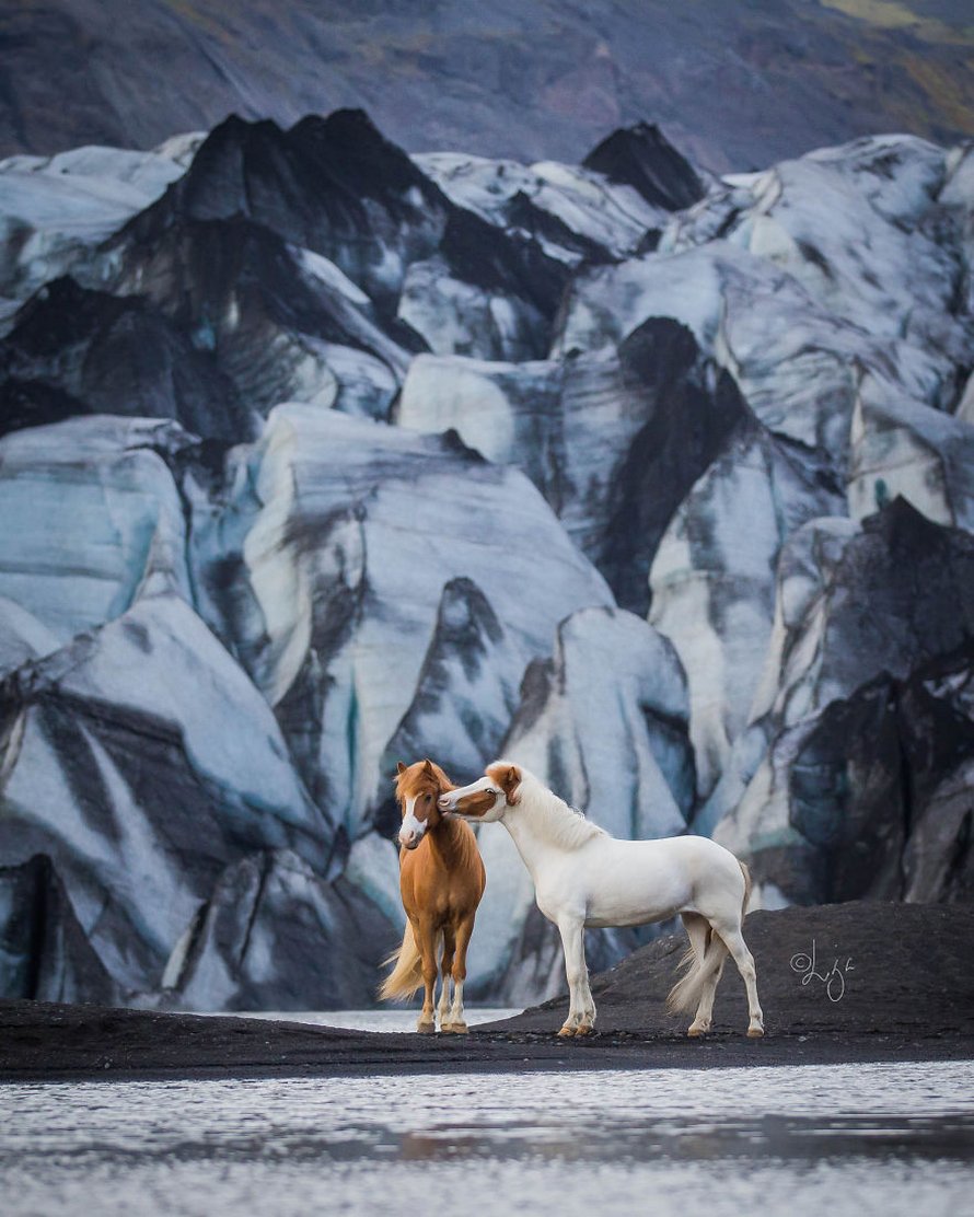 Cette photographe capture des chevaux dans des paysages d’Islande à couper le souffle et voici ses 30 plus beaux clichés