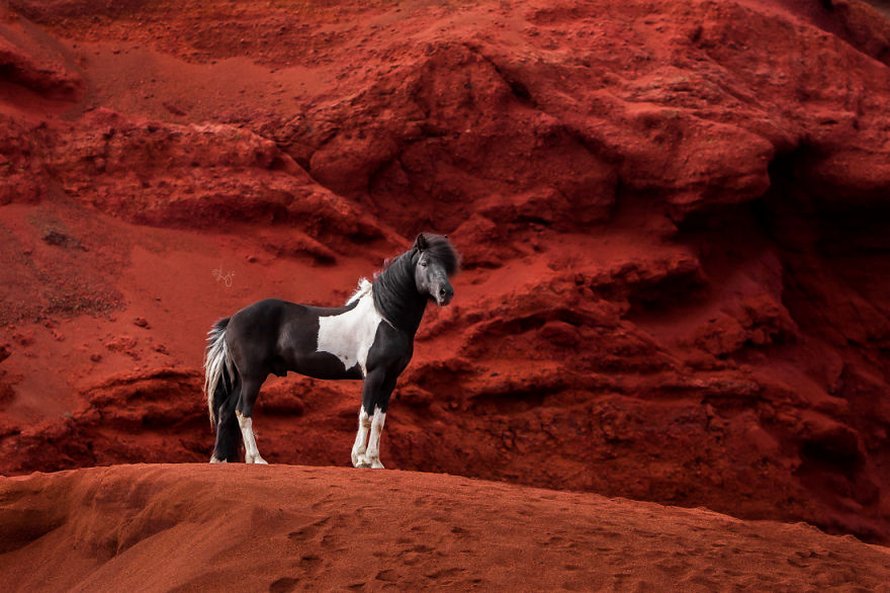 Cette photographe capture des chevaux dans des paysages d’Islande à couper le souffle et voici ses 30 plus beaux clichés