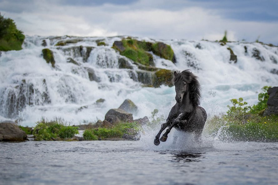 Cette photographe capture des chevaux dans des paysages d’Islande à couper le souffle et voici ses 30 plus beaux clichés